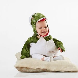 Pottery Barn Dinosaur Egg costume 6-12mon